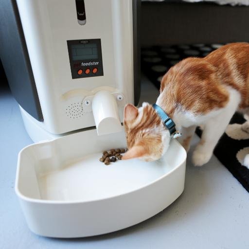 PetFeedster's profile picture. Official Twitter page of the patented Pet Feedster - the world's finest pet feeder. It's jam proof, ant proof, and is designed with your best friend in mind.