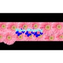 Maia Murphy - @maia_murphy2014 - Twitter