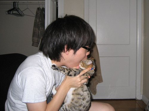 honeyiscool's profile picture. Ashley Paul