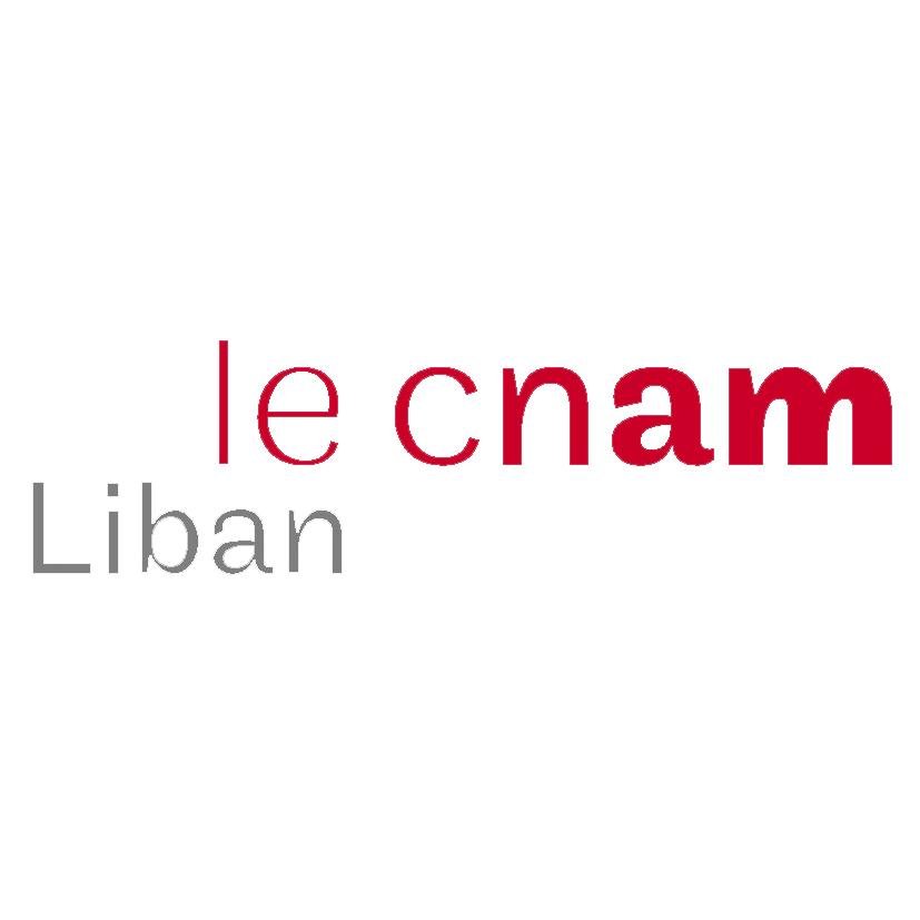 ElectriqueCnamL's profile picture. ISAE - Cnam Liban
Génie Electrique