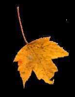 zadjalia90's profile picture. 