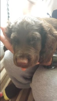 AthertonJaney's profile picture. teacher of music. mum to two lovely children.