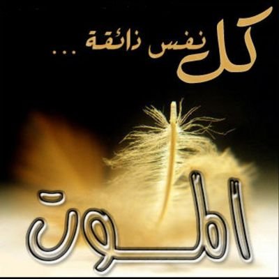 ‏‏‏‏صدقه جاريه لمن فقدناهم رحمهم الله وجعل قبورهم روضه من رياض الجنه