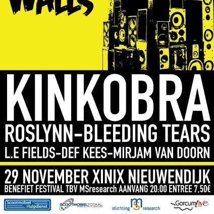 Benefiet concert voor MSresearch 29 november in de Xinix te Nieuwedijk