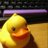 TeleTYpewriterA's profile image
