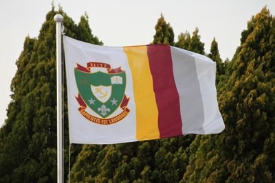 HSReitz's profile picture. Sapientes Est Laborare
Werk en Wen