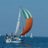 petits_voiliers's profile image