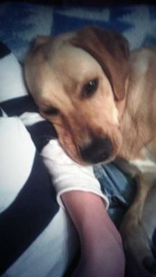 Izzie fan de Booba.