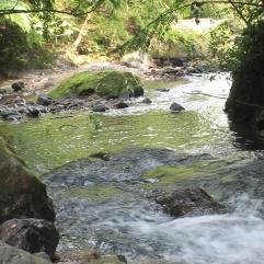 simbology55's profile picture. 