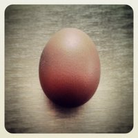 Eva Ramirez (@evitavitae) 's Twitter Profile