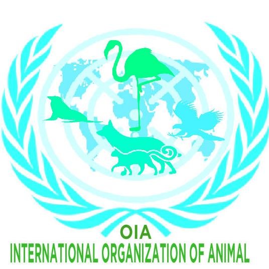 OIABRAZIL's profile picture. INTERNATIONAL ORGANIZATION OF ANIMAL
Quem ama a vida protege os animais. Em defesa da vida e dos direitos dos animais no mundo. http://t.co/YLZj5jA9zw
