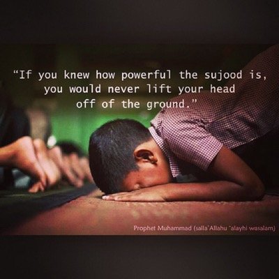 ‎﷽ Salam, follow for verses from the quran, hadiths, islamic stories and many more!