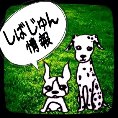 しばじゅん 柴田 淳 | COVER 70's (通常盤) | ビクターエンタテインメント