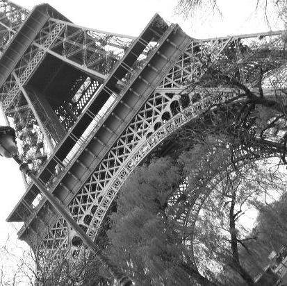 marcoorosii's profile picture. Airlines News and More