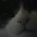 Fred Orchard - @fred_orchard - Twitter