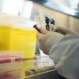 jbheopenaccess's profile picture. Open Access Journal