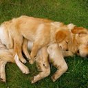 Barbara Ronald - @ronald_barbara - Twitter