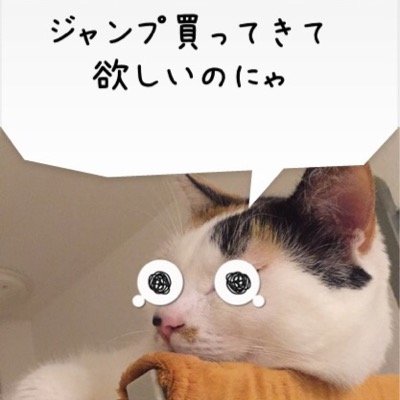 ペダル、ワンピ、ハイキュー、ＷＪ、ジョジョ、にゃんこ大戦争、猫ボランティア、保護猫４匹、アイシングクッキー、キャラチョコ、ケーキ、たまに作ります_(┐「ε:)_製菓衛生師、姉妹の母親、無言フォロー失礼します(´°̥̥̥̥̥̥̥̥ω°̥̥̥̥̥̥̥̥｀)