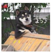 ofukoooo's profile picture. 