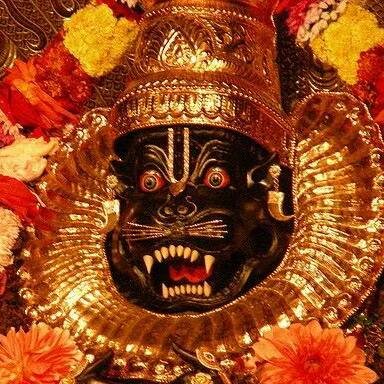 malli1432's profile picture. 