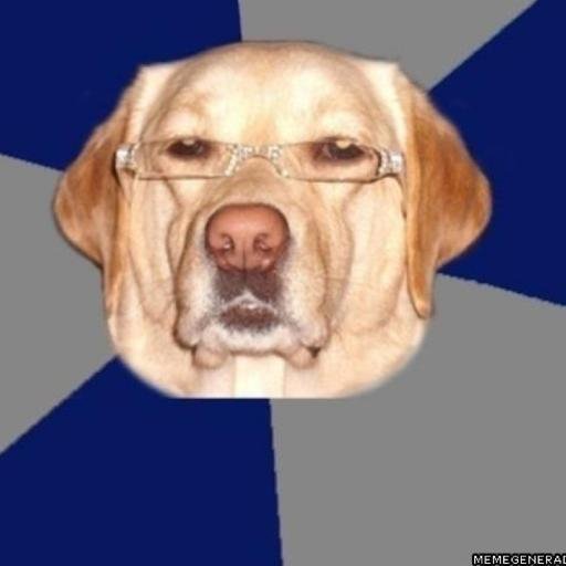 Cuenta Definitiva de humor negro todos nuestros tweets tienen gracia para poner una gilipollez no la ponemos