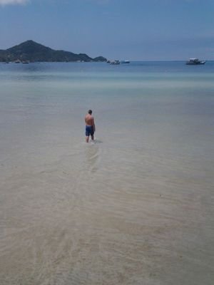 BenChr1stopher's profile picture. Manchester United                                                                    SAF Stand 🔴⚪️⚫️