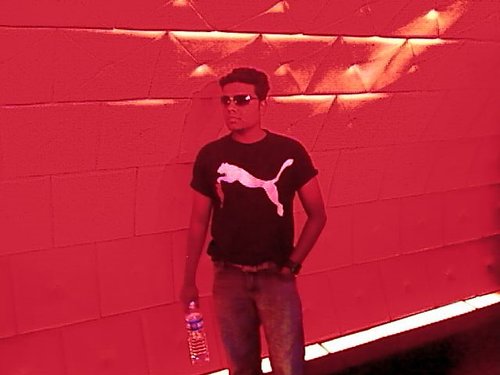 bibscool4u's profile picture. 