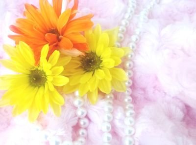 MicheBellas's profile picture. https://t.co/8atlAwcuCt