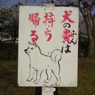 Nomi_Shin's profile picture. どうせいつかは死ぬけれど