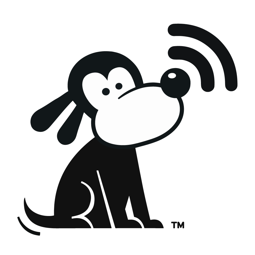 bluepointwifi's profile picture. 