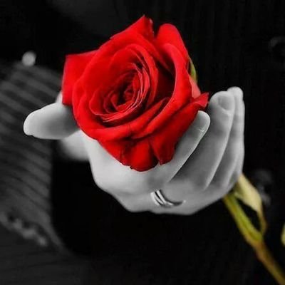 ‏لااله إلا الله( ‏استغفرالله حتى يفيض القلب فرحاً،وتملأ الصحف اجراً.