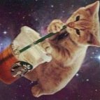 All, everything that I understand, I understand only because I love cats. -Leo Tolstoy