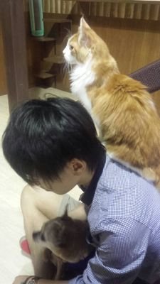2m級の巨人。癒しが欲しいです。
