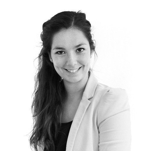 Account Manager LEWIS | PR & Communicatie Hoornse Stadsfeesten