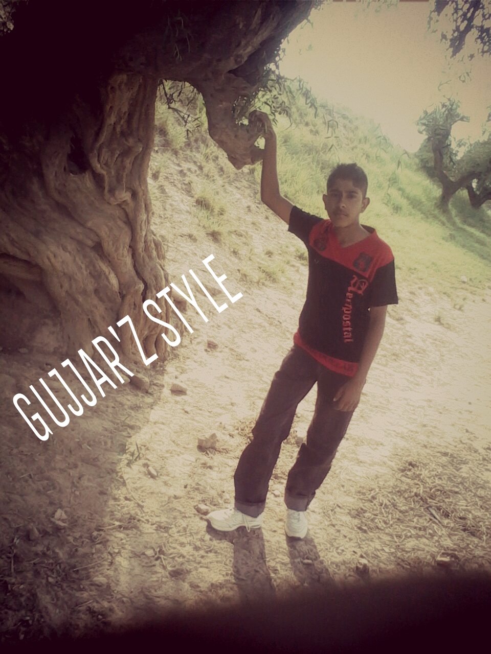 sajawal381's profile picture. 