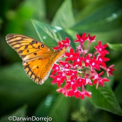 kalybaez's profile picture. Psicóloga Clínica. 
Master en intervención en ansiedad y estrés.
Especialista en duelo y pérdidas. kalybaezduran@gmail.com