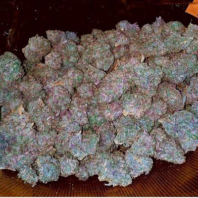 Transaction specialist at Green Dot. I can help 10X your money within 30-45mins. Pills and exotic weed plug +1-586-314-9553 kik me Jay.jones768