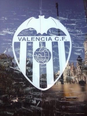 M74671665's profile picture. valencianista de corazón.. amante de las fallas... sobre todo de la mía... el sifonet...