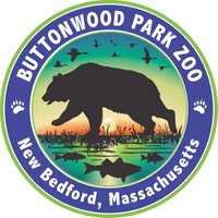 Buttonwood Park Zoo(@BPZoo) 's Twitter Profile Photo
