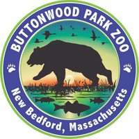 Buttonwood Park Zoo (@bpzoo) 's Twitter Profile