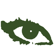 miss greencoloured