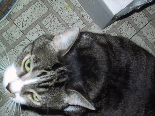 VideoSqueezing's profile picture. Squeeze pages are so boring, but they can be actually entertaining and educational when video is integrated.