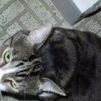 Video Squeezing (@videosqueezing) 's Twitter Profile