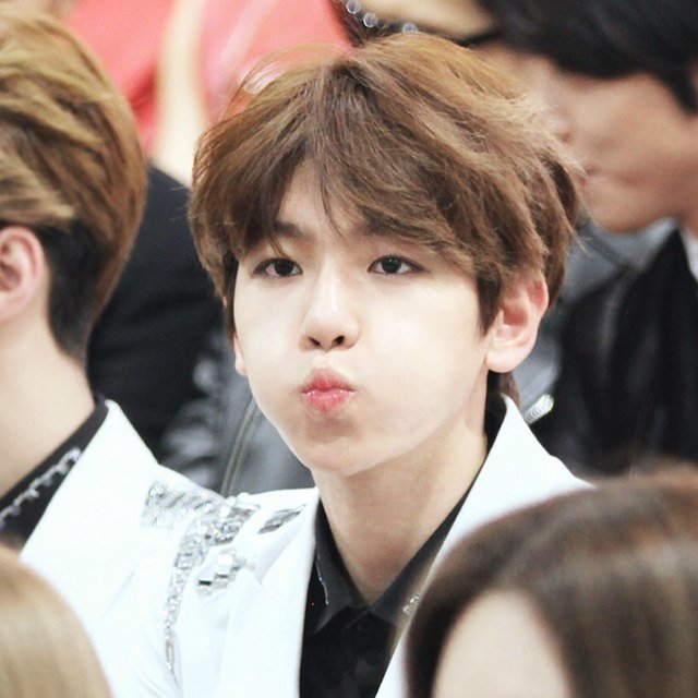 ฟอลฟรีเพื่อเอ็กโซจ้า