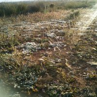 V. Vercher (@vvercherr) 's Twitter Profile