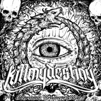 KILLMYDESTINY (@killmydestinyhc) 's Twitter Profile