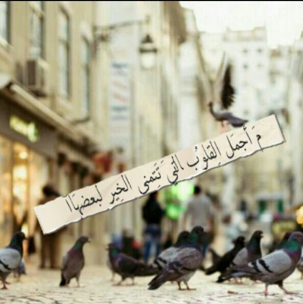 لان الحب دعاء جعلت هذا الحساب صدقه لكم