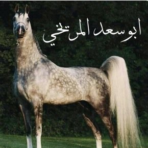 كن ثرياً بأخلاقك .. وغنياً بقناعتك .. وكبيراً بتواضعك --