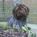 kevin bibby - @kjhbibby - Twitter