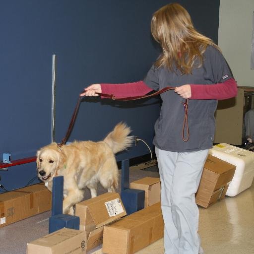 PennVet_VCIC's profile picture. Clinical Research Service for the University of Pennsylvania's School of Veterinary Medicine